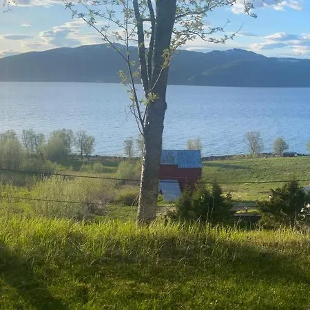 Comfortable Near Senja