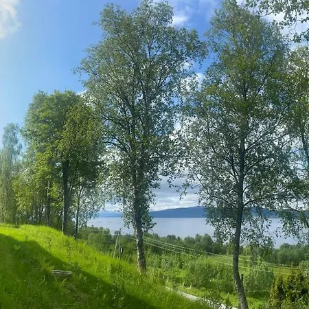 Comfortable Near Senja