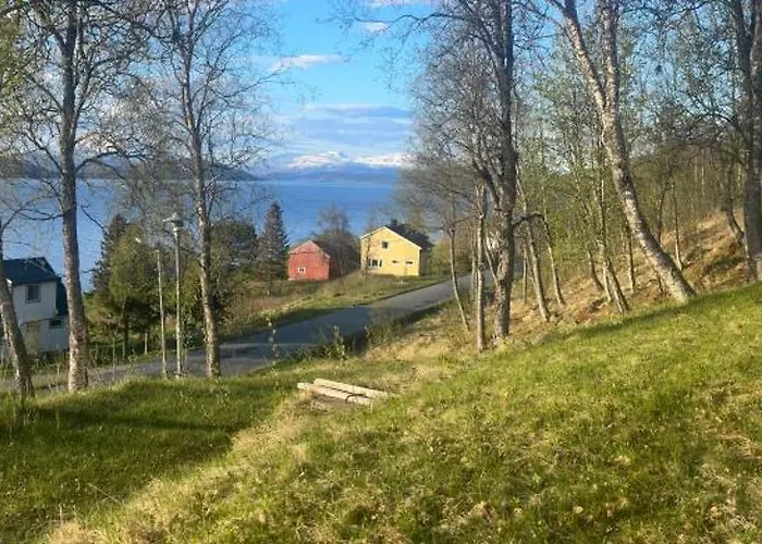 Bed & Breakfast Comfortable Near Senja *