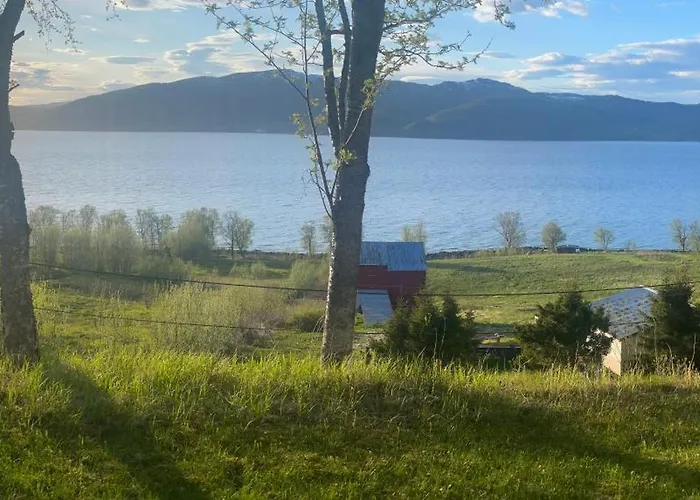 Comfortable Near Senja
