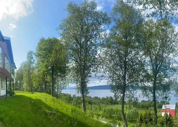 Comfortable Near Senja